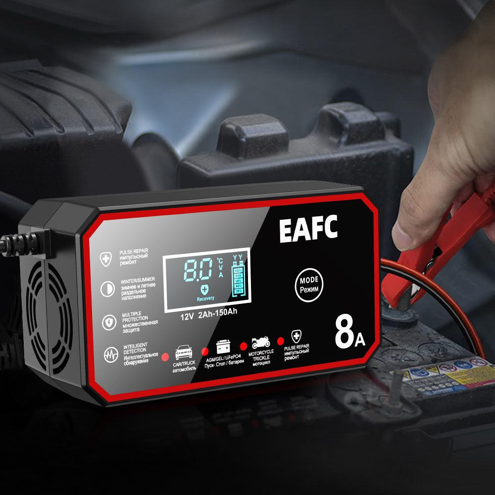 EAFCPrivate model 8A battery charger