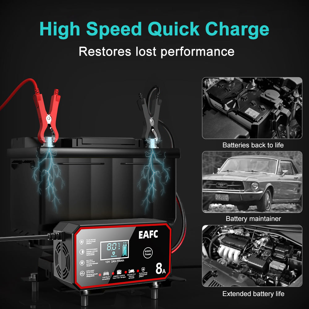 EAFCPrivate model 8A battery charger