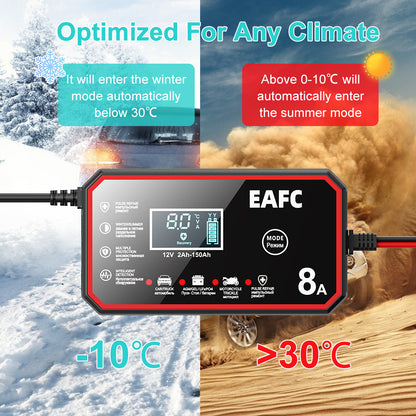 EAFCPrivate model 8A battery charger