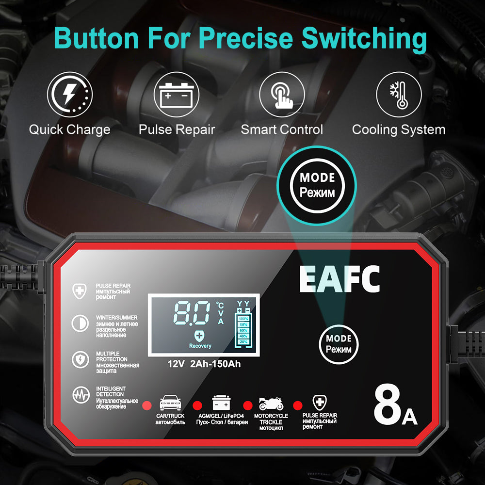 EAFCPrivate model 8A battery charger