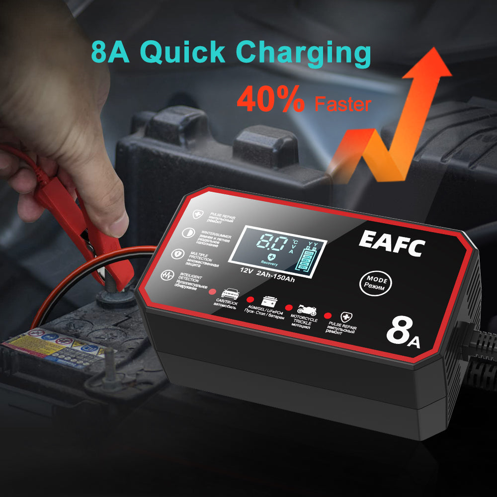 EAFCPrivate model 8A battery charger